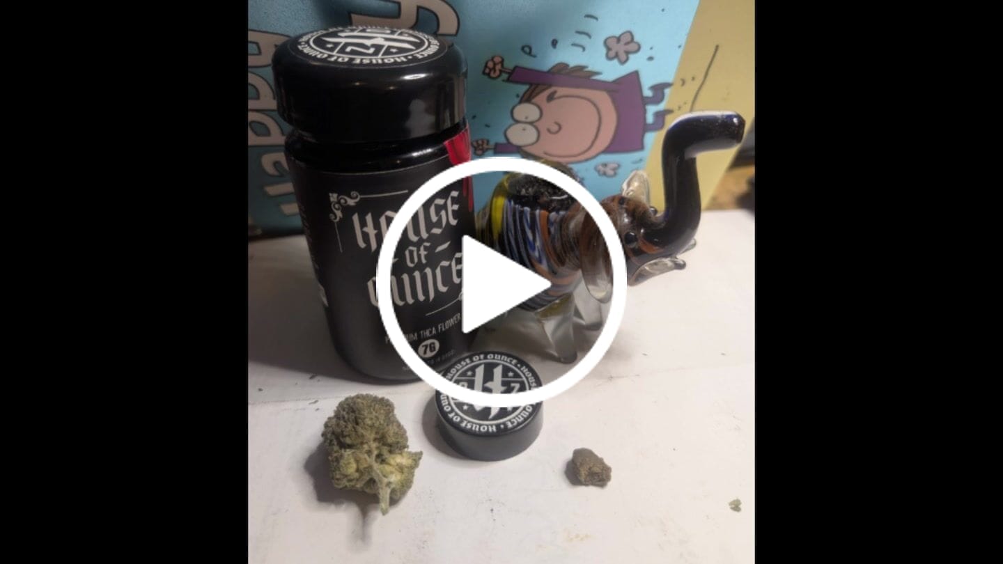 Customer video review of On the House — 1 Gram Hash