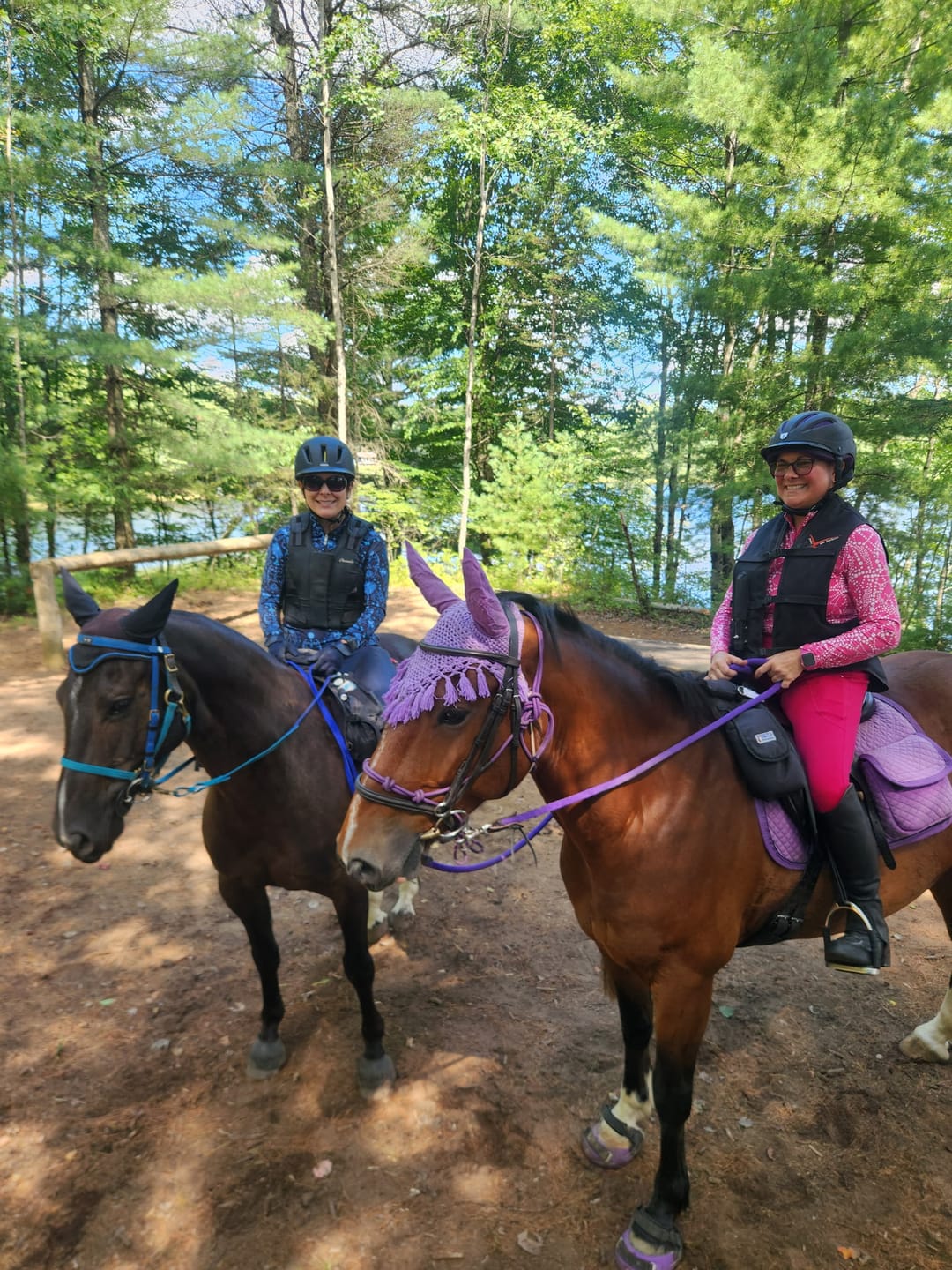 Customer photo review of Renegade® Viper Vivid™ Hoof Boot - Mystic Purple