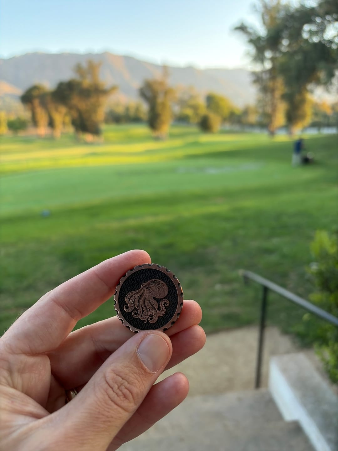 Customer photo review of The Octopus Coin — Copper