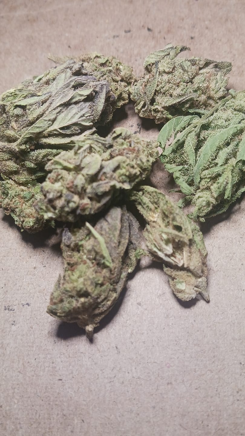Customer photo review of Blueberry Zkittlez - 28 Grams - Indica
