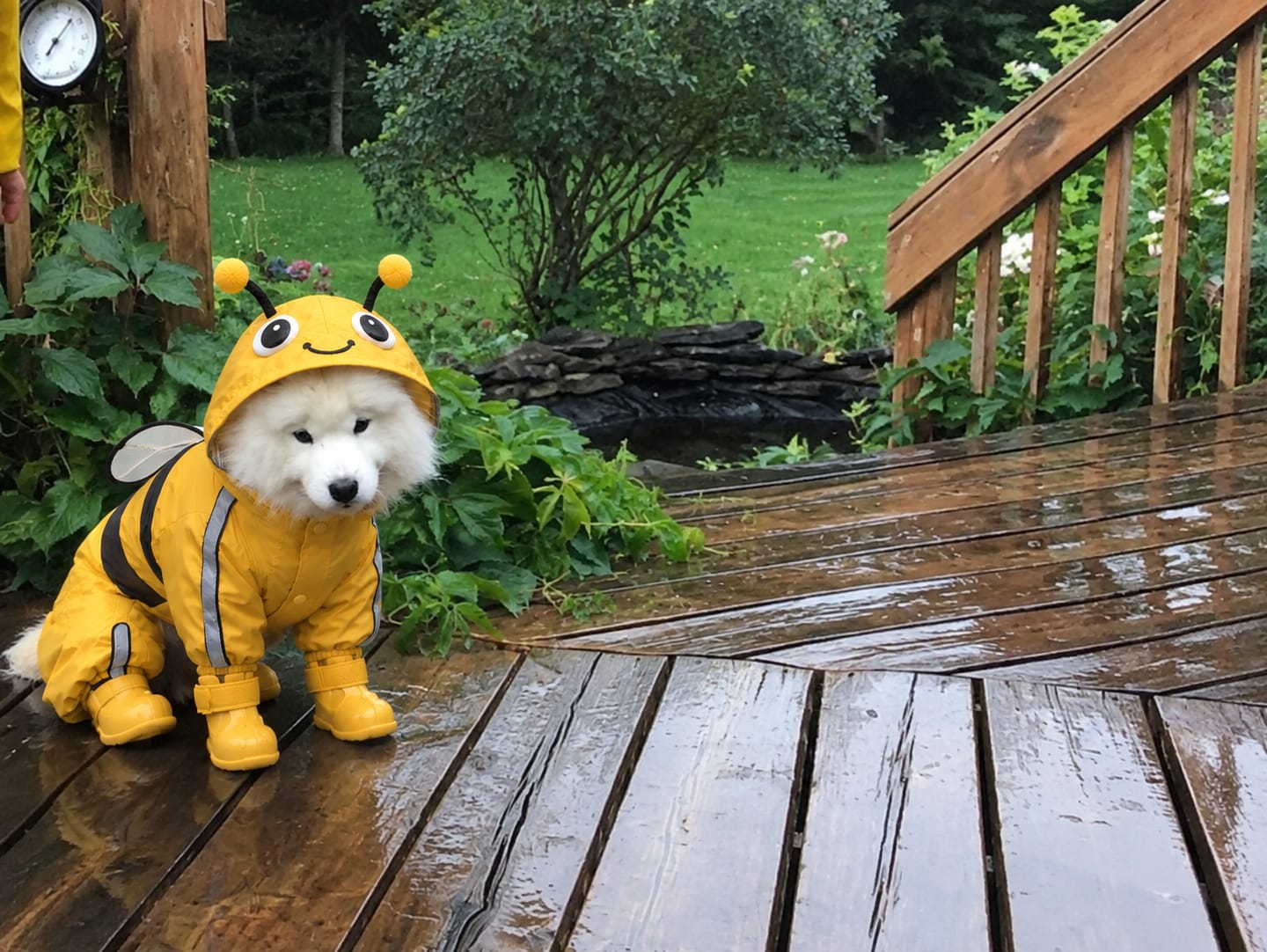 Customer photo review of Bumblebee Rain Suit