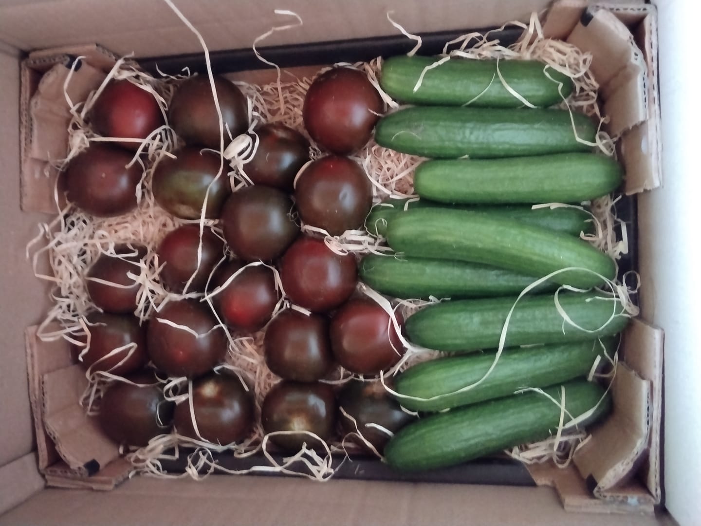 Customer photo review of Minigurken Bio bioland regional