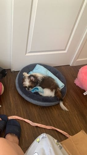 Customer photo review of Cooling Mat