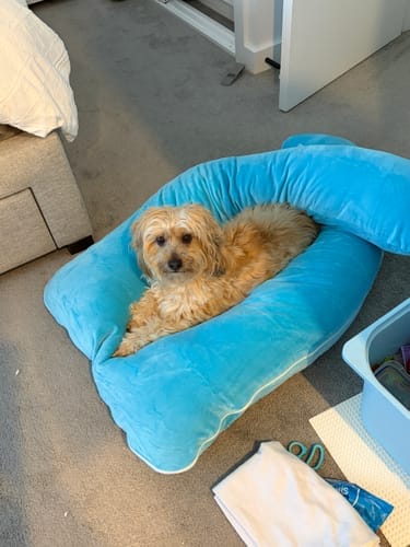 Customer photo review of Kids Pillow Pod