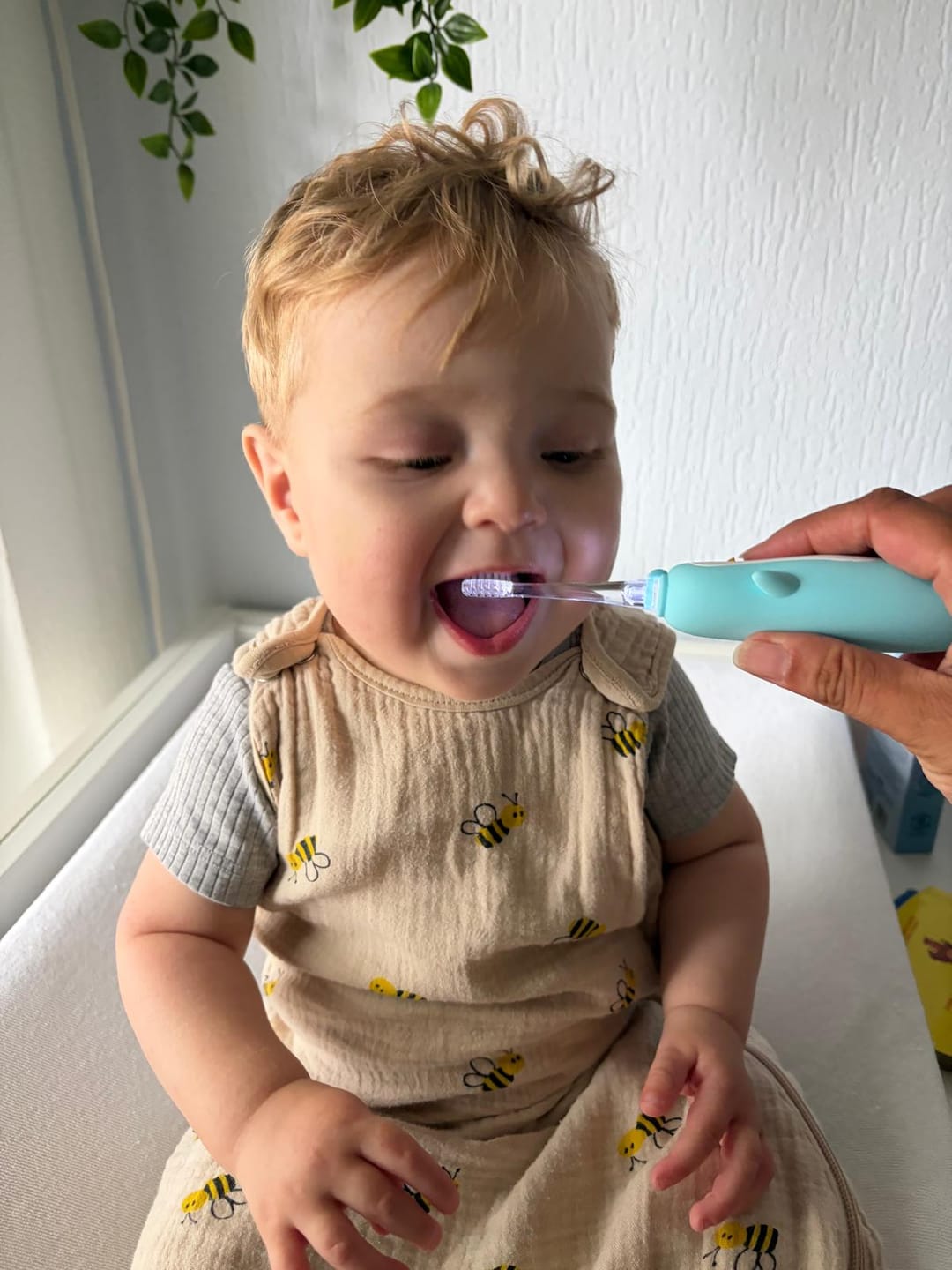 Customer photo review of Premium Tandenborstel Pinguin