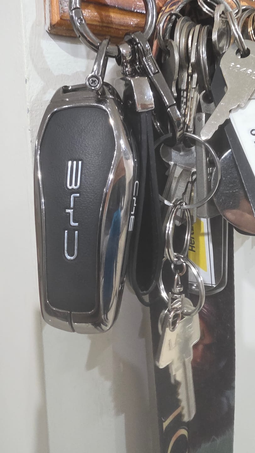Customer photo review of Key Fob Cover with Keychain For BYD (2023-2026)