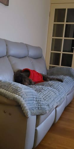 Customer photo review of Cosy Couch - Couch Cover