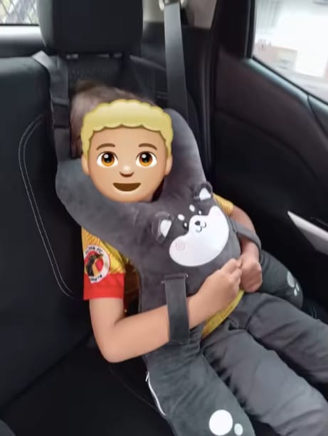 Customer photo review of PetitDodo™ Oreiller de voyage pour enfant