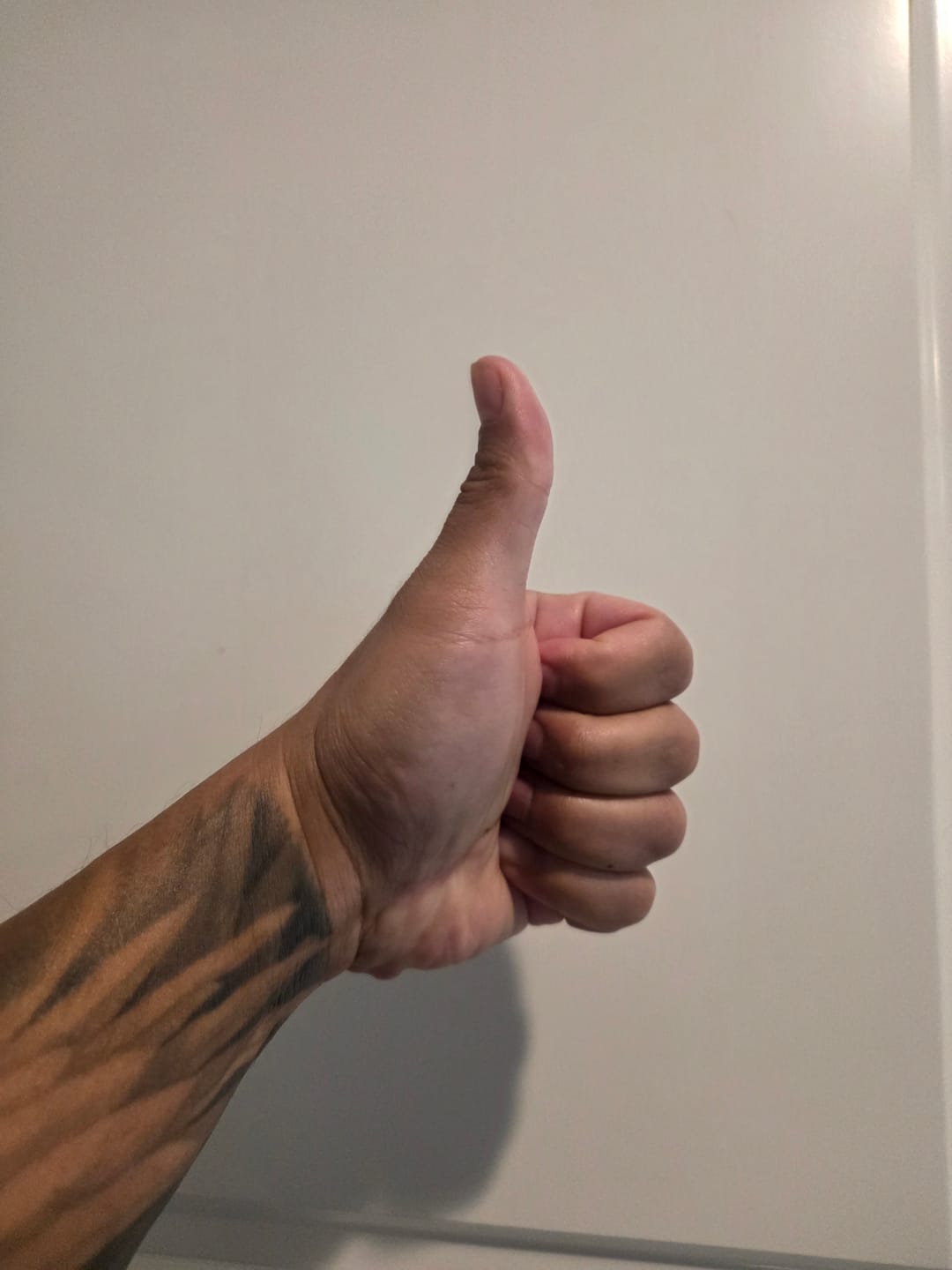 Customer photo review of BRONZE INSTANT ENTRY