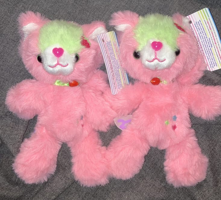 Customer photo review of Strawberry Classic Magical Noopy 7" Plush