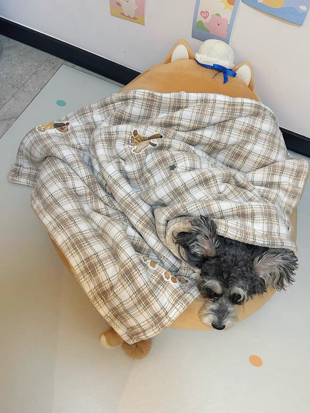 Customer photo review of Cloud-Like Pet Blanket Pillow Combo