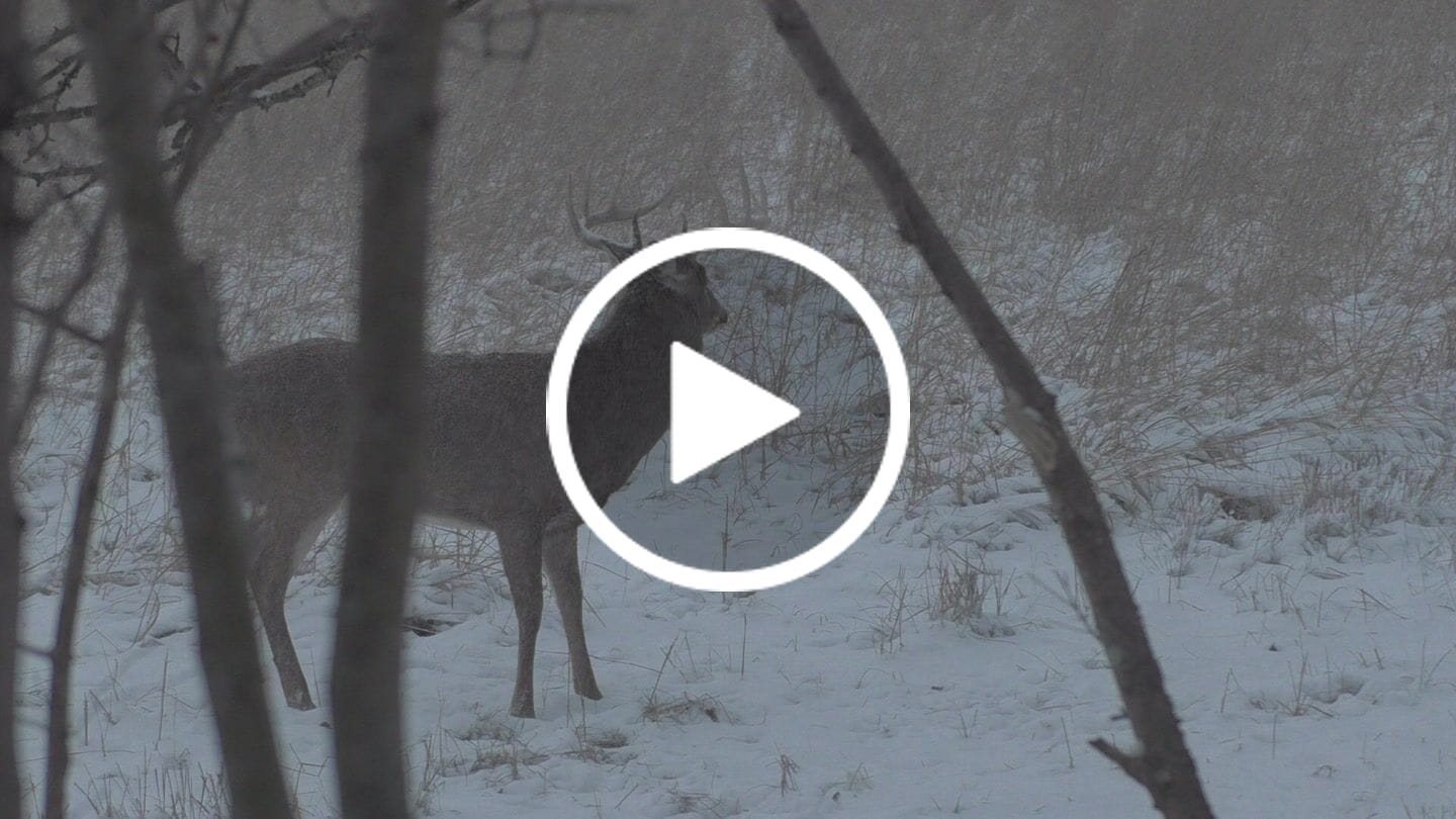 Customer video review of Aluminum Broadheads