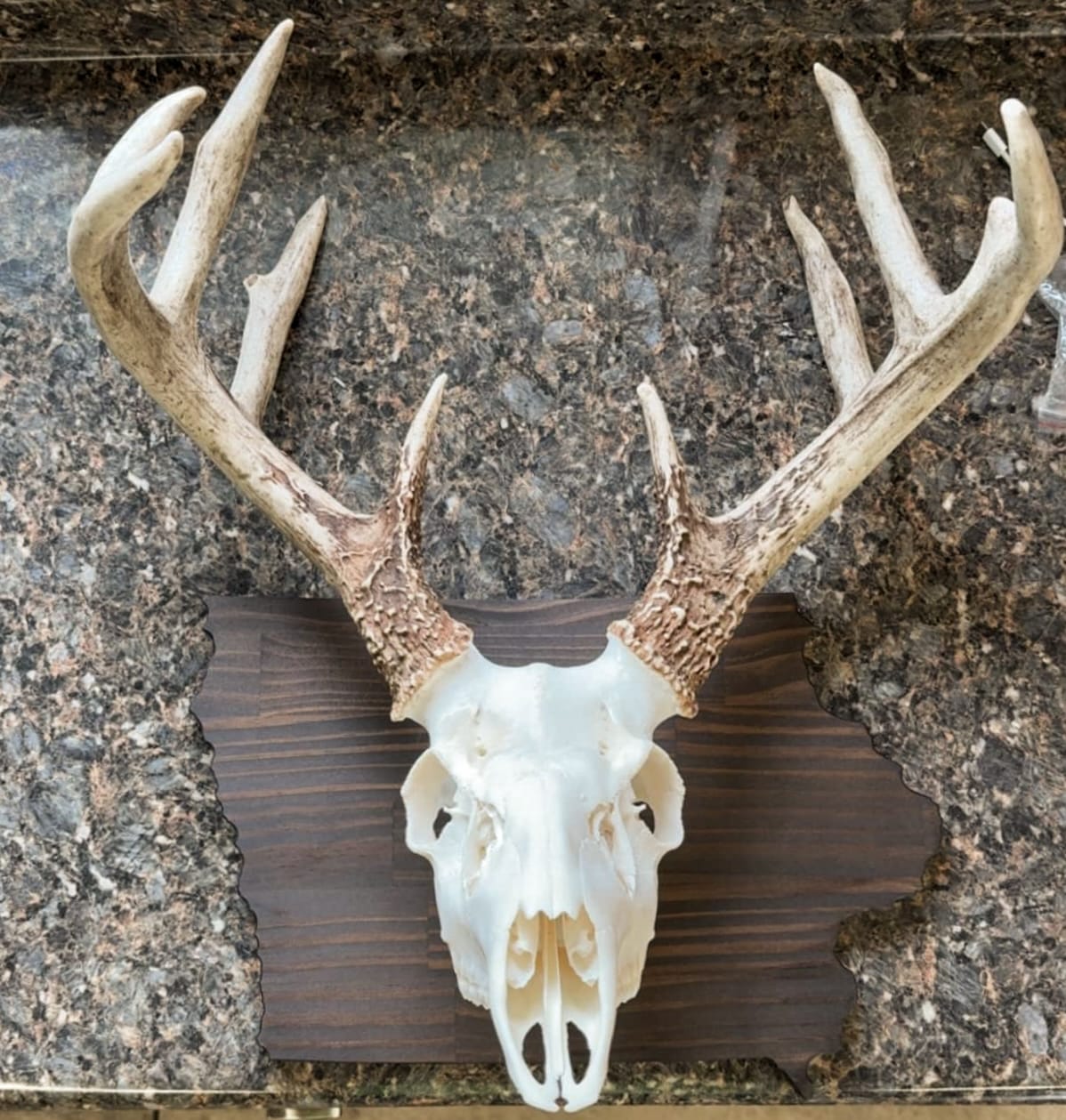 Customer photo review of 16.0x10.5" State Of Iowa Acrylic Router Template