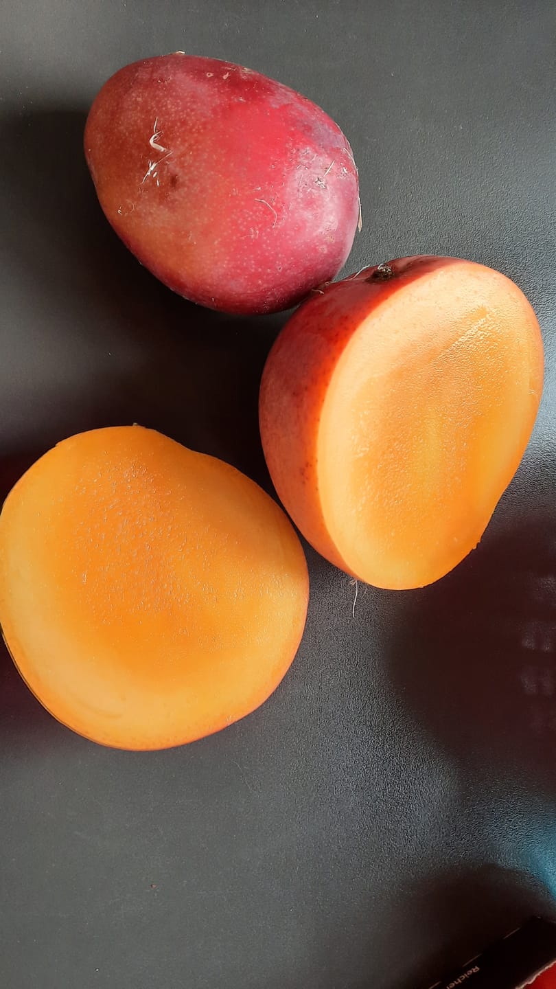 Customer photo review of Mango Mix von Juan 3kg Retterpreis %
