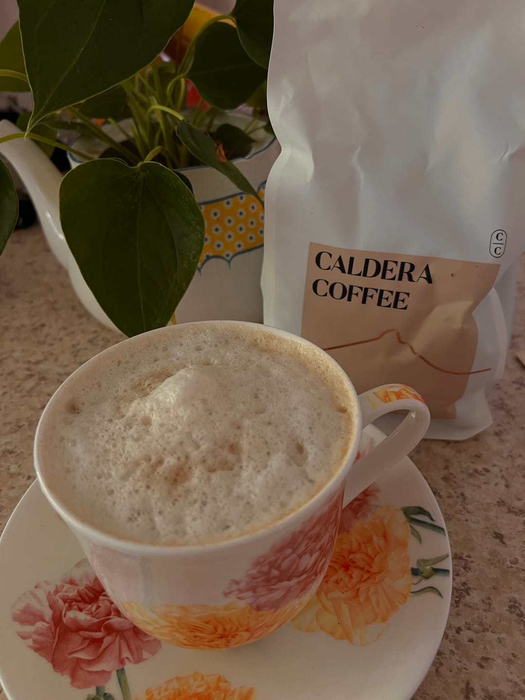Customer photo review of Caldera - Signature Organic Blend