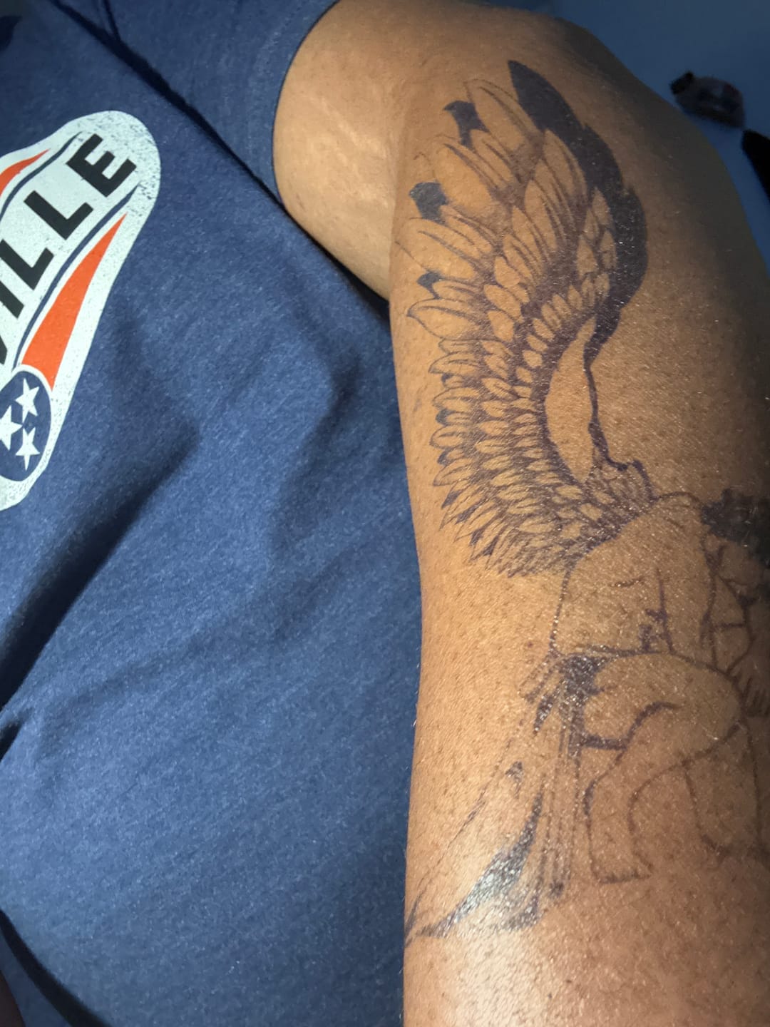 Customer photo review of Jesus & Lion