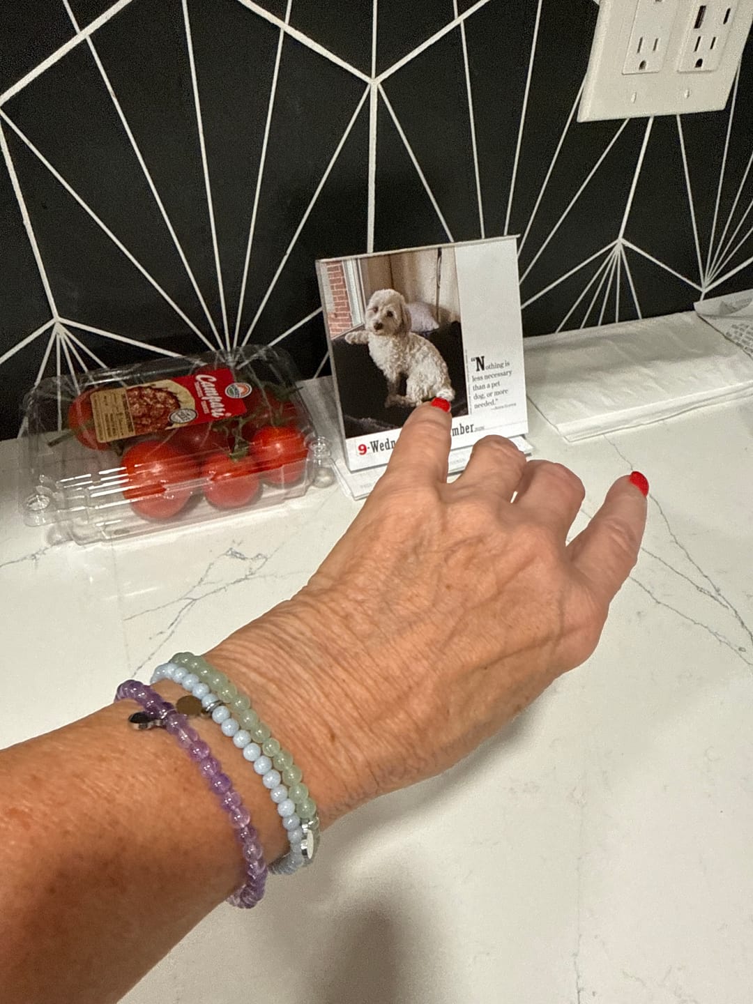 Customer photo review of Celestite Bracelet Mini