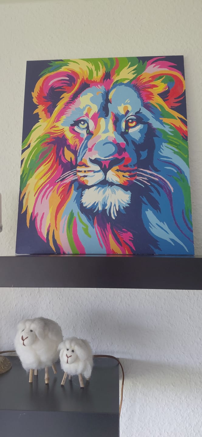 Customer photo review of Colorful Lion