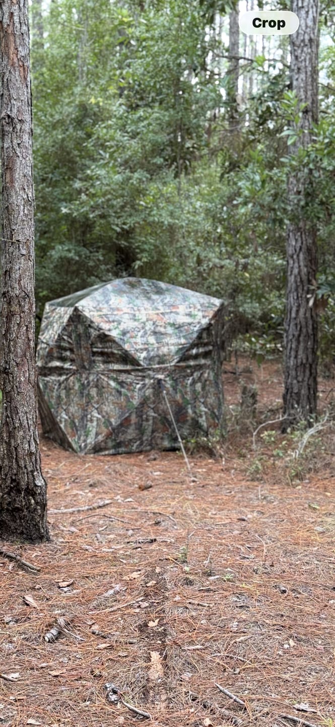 Customer photo review of VisX/VisMax See Through Hunting Blind, Pop Up Ground Deer Blind