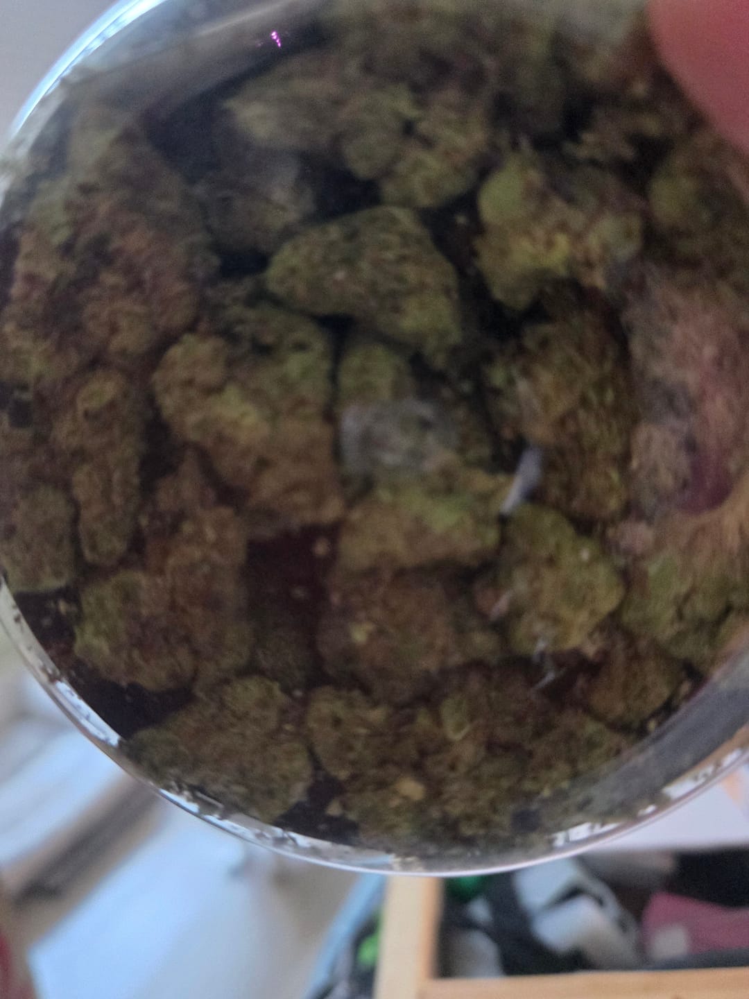 Customer photo review of West West Brand - Raspberry Kush - 14 Grams - Indica