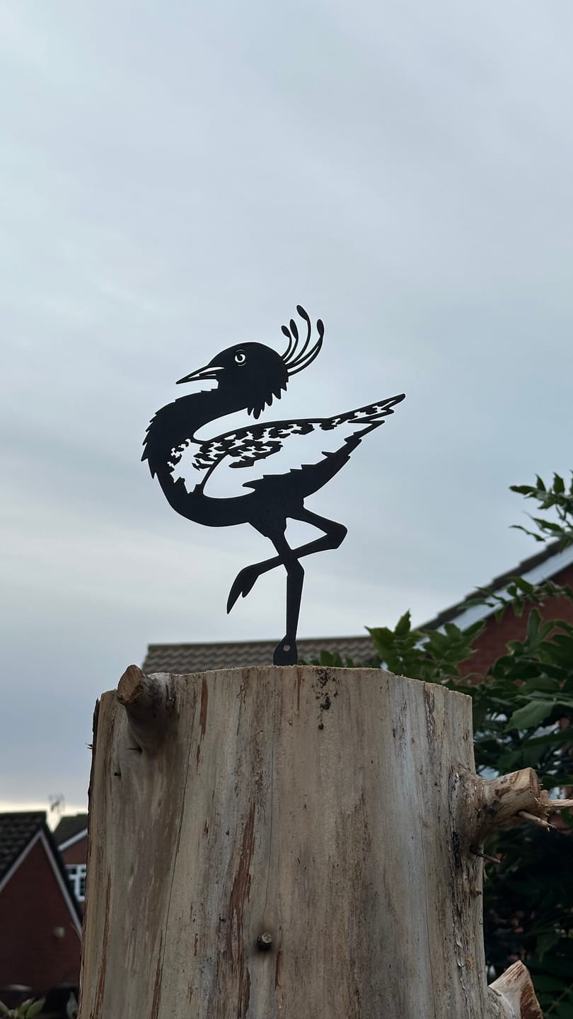 Customer photo review of Metalbird Seconds - Lesser Florican