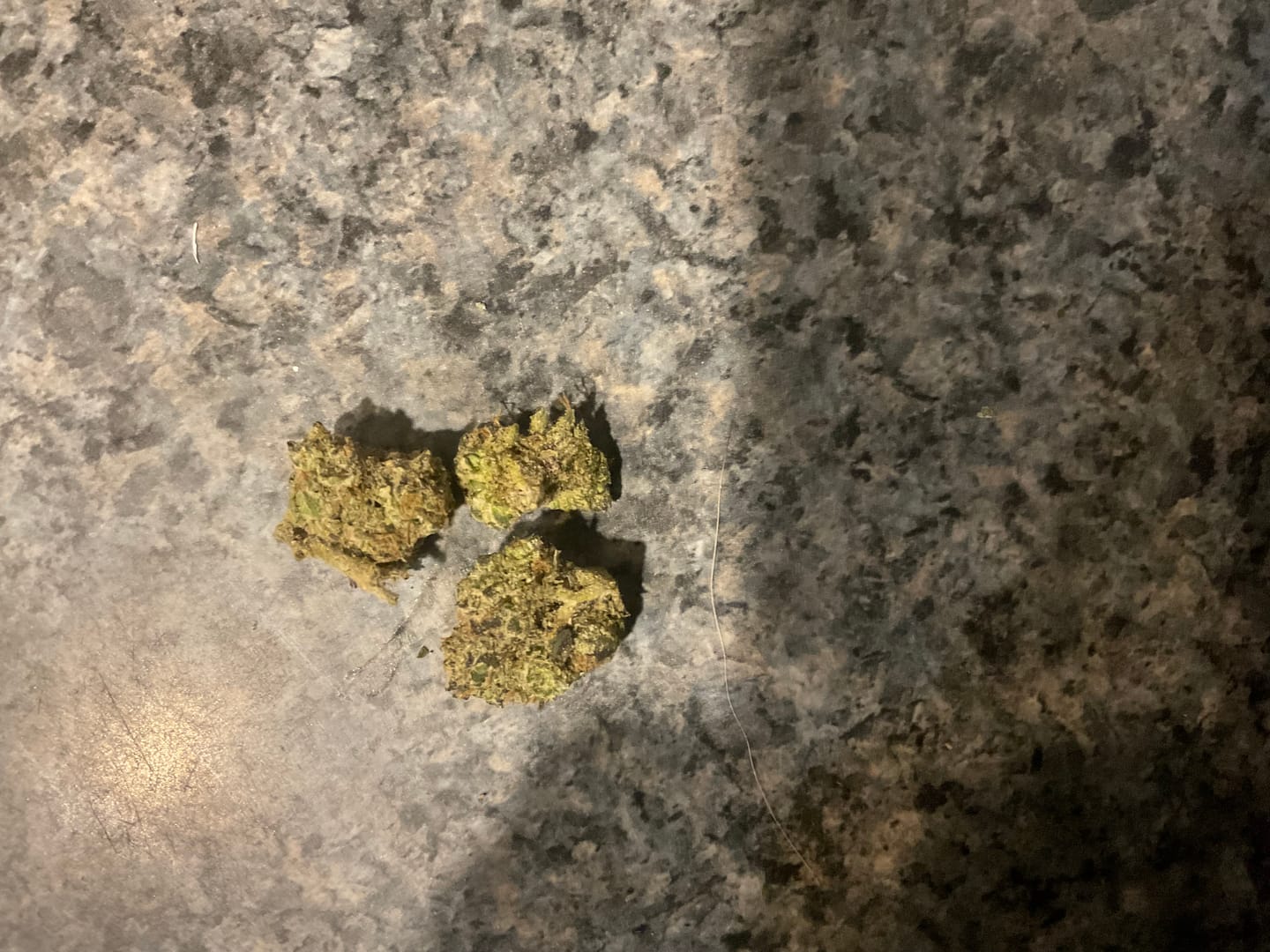 Customer photo review of White Rhino THCA Flower