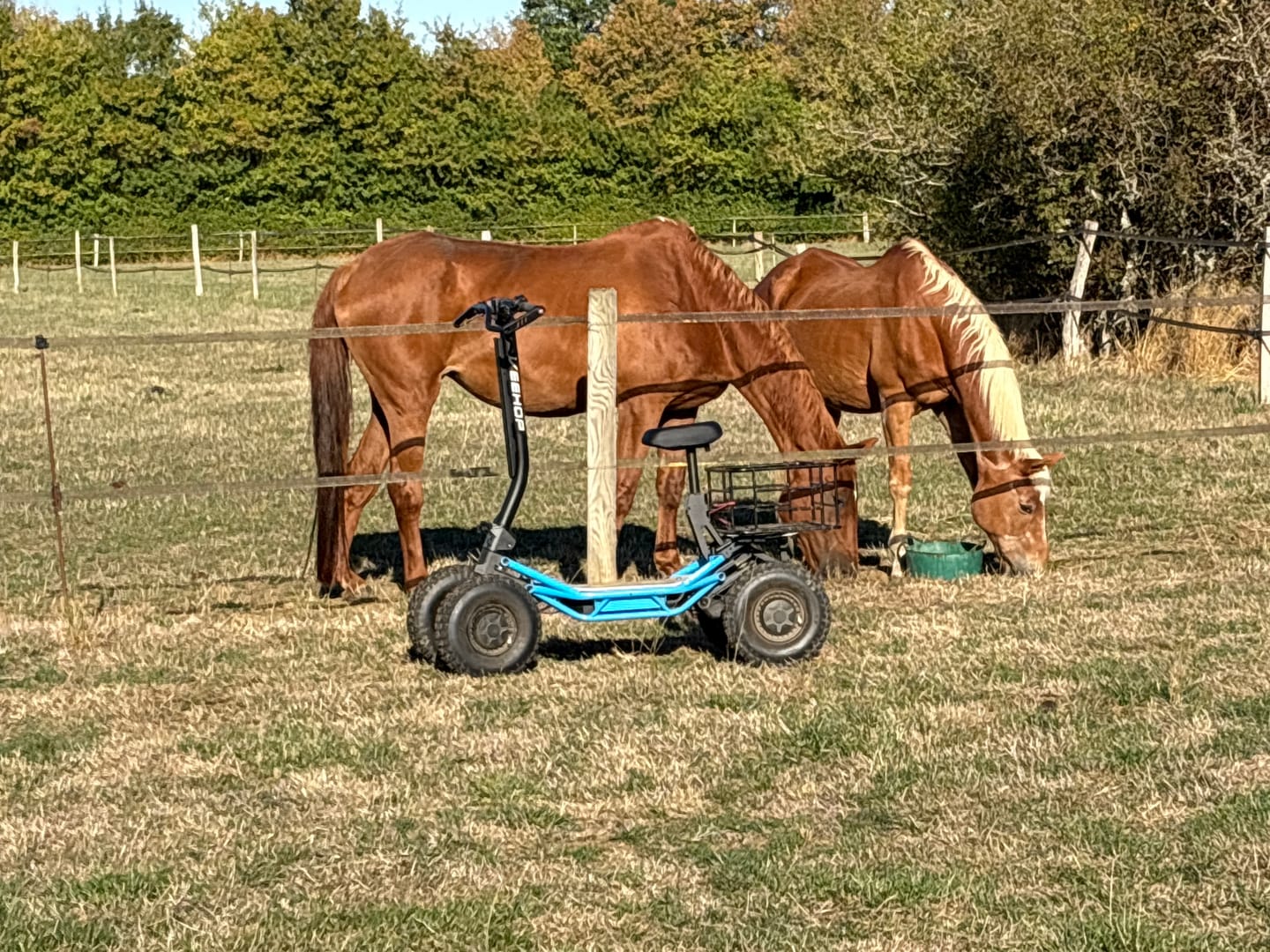 Customer photo review of Trottinette VEEHOP tout terrain à 4 roues motrices avec selle pliable 3200w / 6400w 40ah