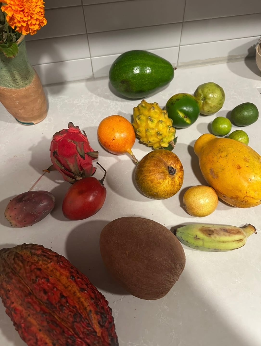 Customer photo review of Variety Box