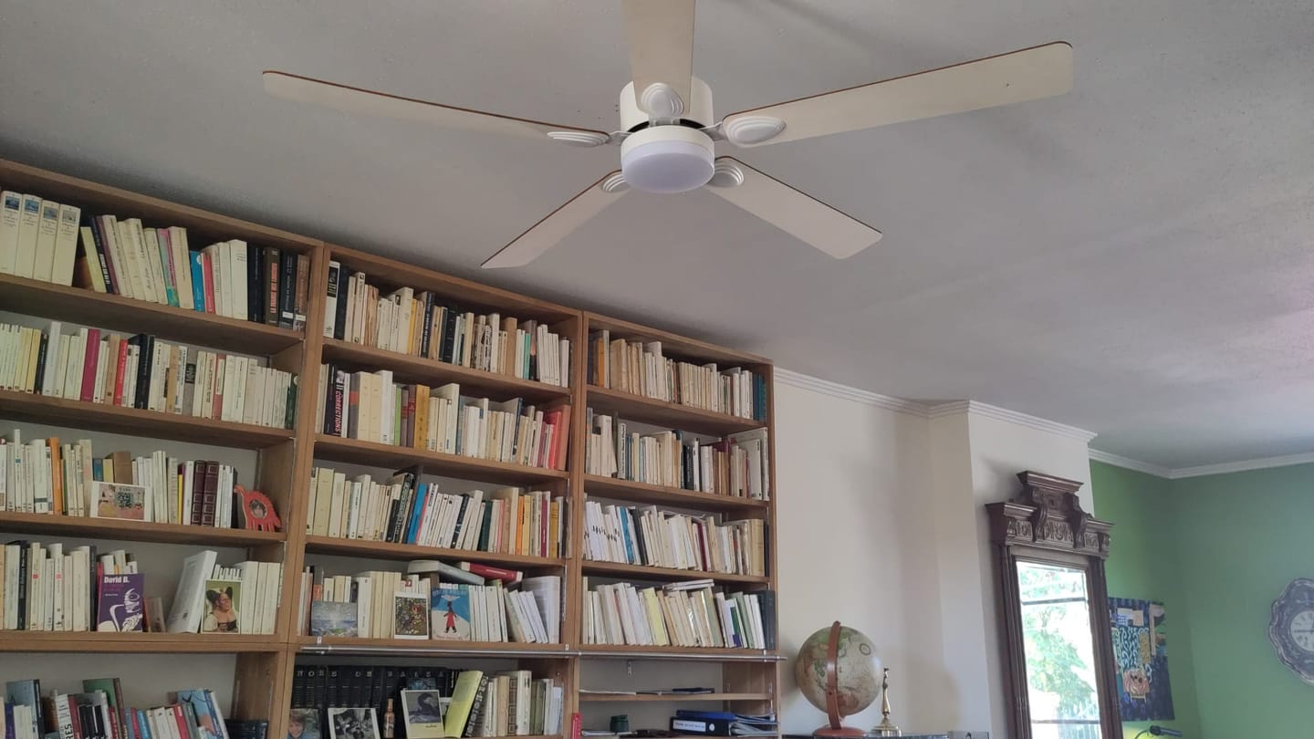 Customer photo review of Mistral | Ventilateur de plafond – Ø 141 cm