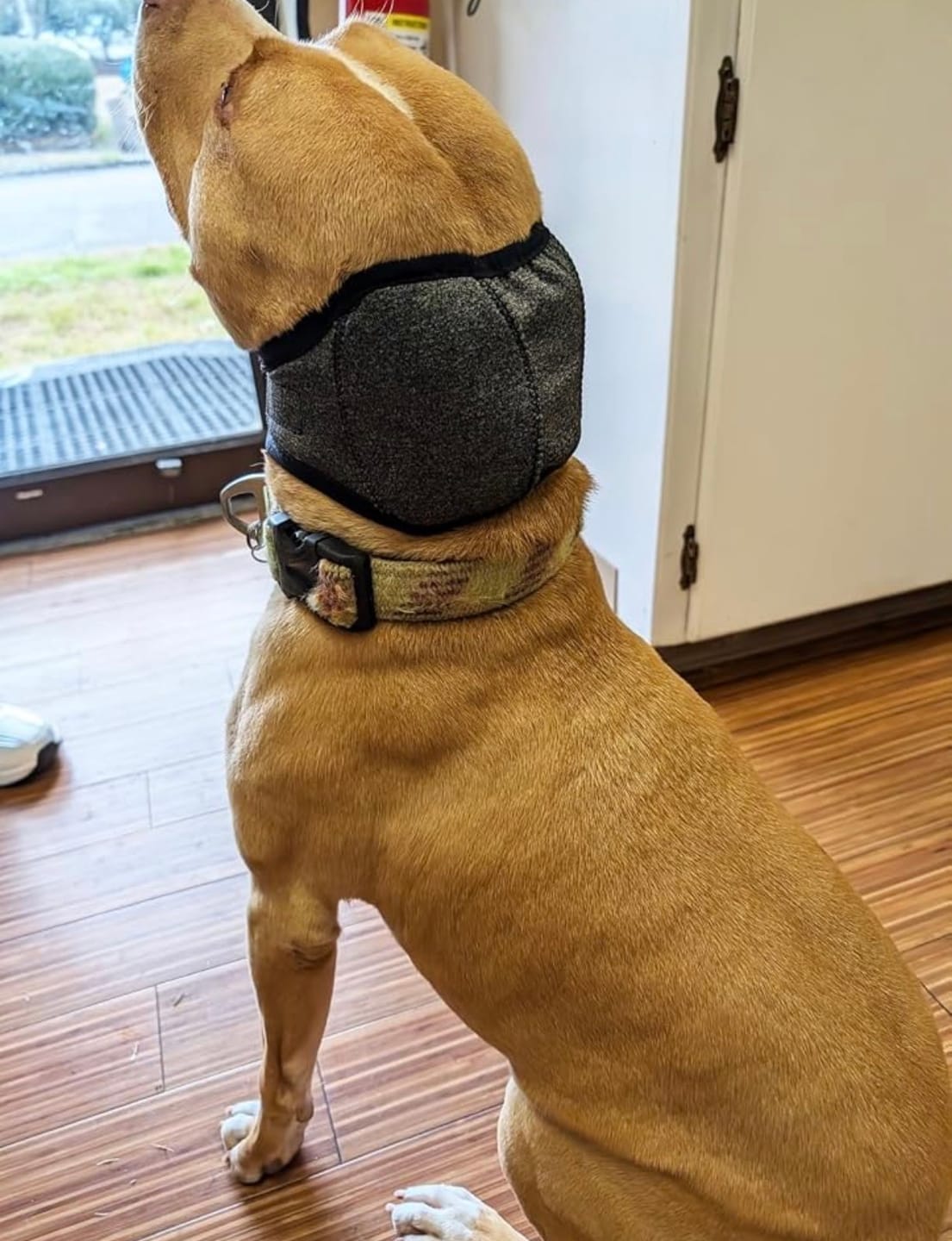 Customer photo review of Noise Protection Ear Muffs