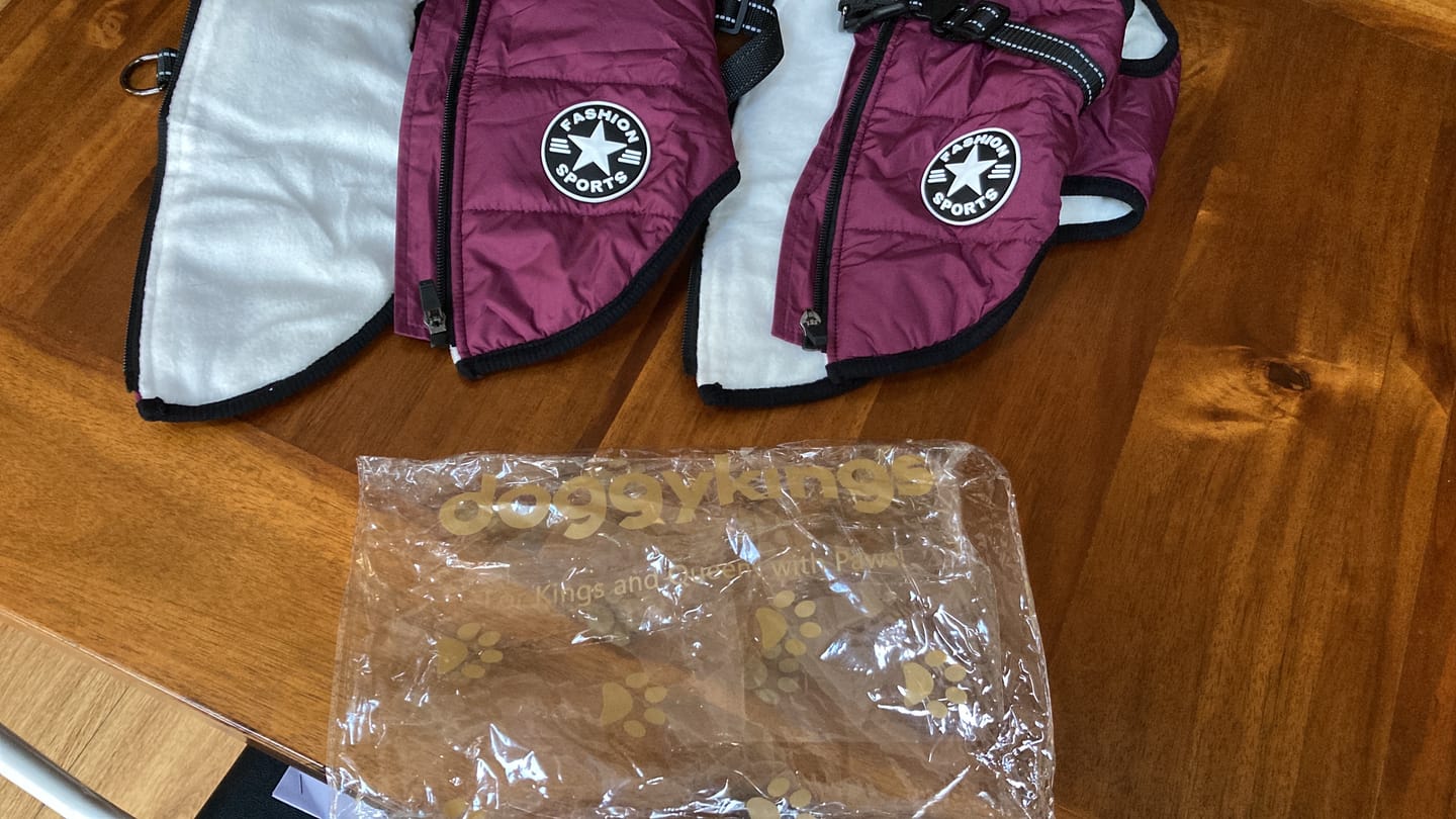 Customer photo review of DoggyKings™ 3 in 1 Jacket