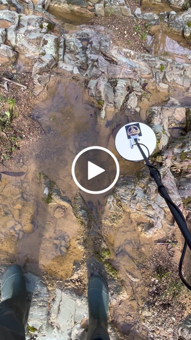 Customer video review of Minelab GPX 6000 -Most intuitive Gold Detector Find more gold