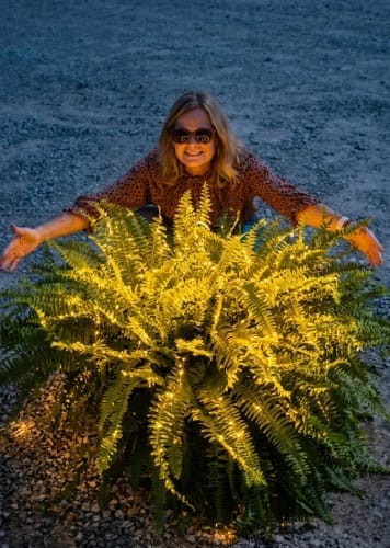 Customer photo review of 💛Glowing Boston Ferns with Lights – 🌿 Zero Watering, Zero Maintenance