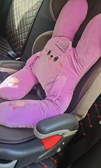 Customer photo review of PetitDodo™ Oreiller de voyage pour enfant