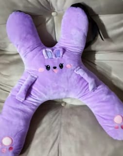Customer photo review of PetitDodo™ Oreiller de voyage pour enfant
