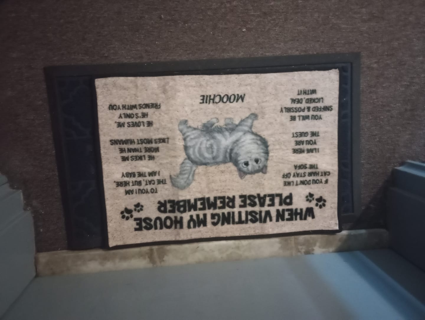Customer photo review of Please Remember When Visiting Cats House Personalized Doormat