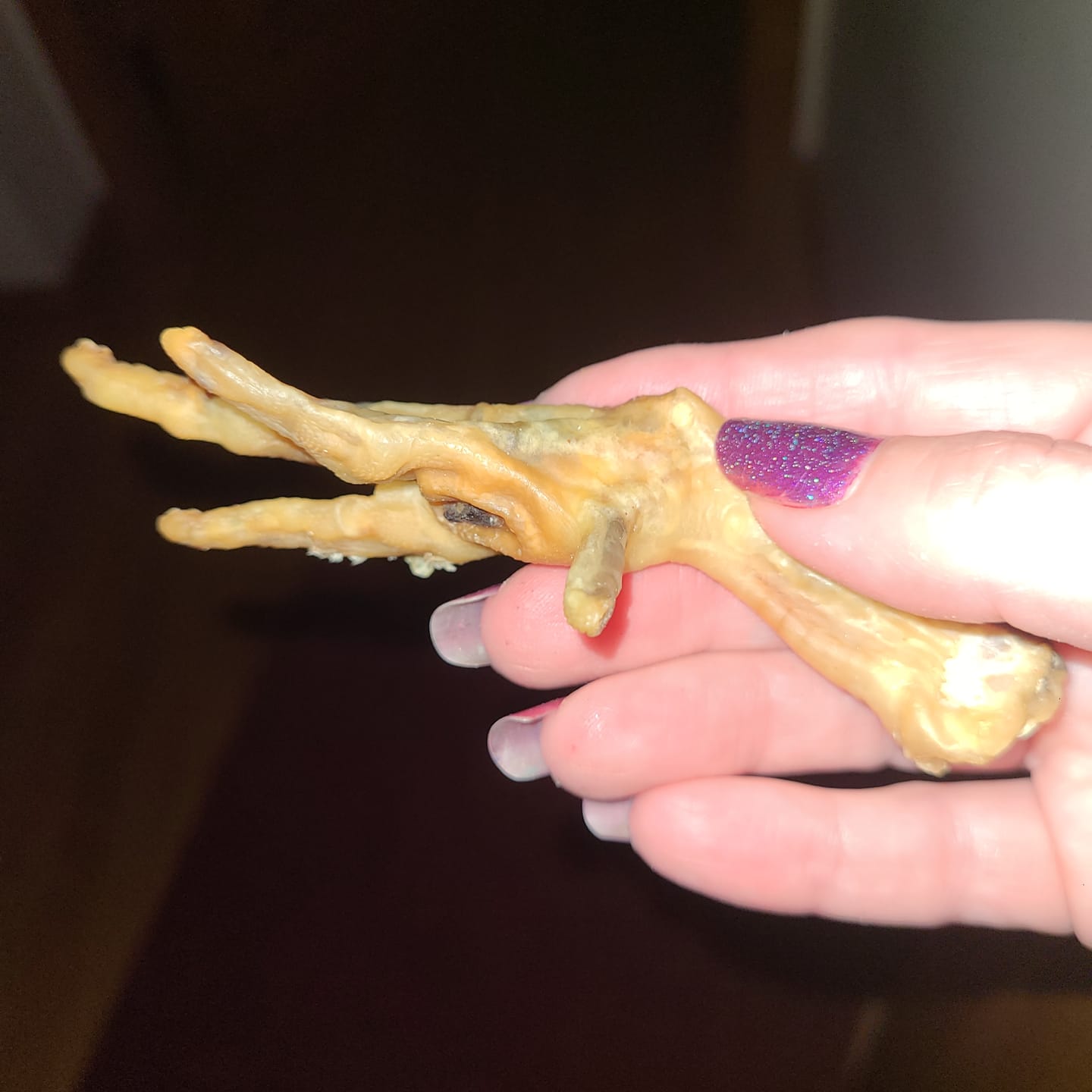 Customer photo review of Chicken Feet for Dogs