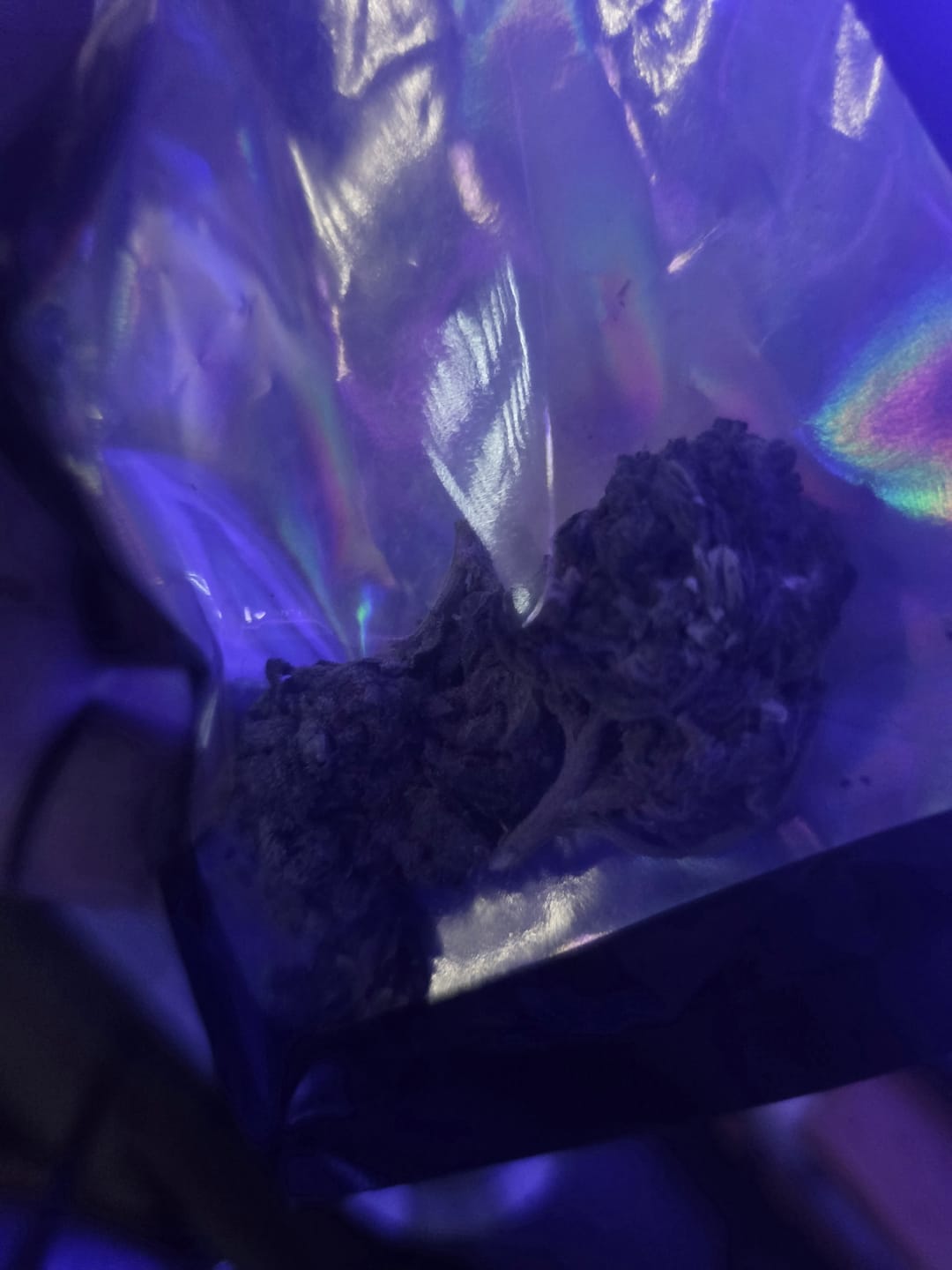 Customer photo review of Jungle Gelato - 28 Grams - Indica