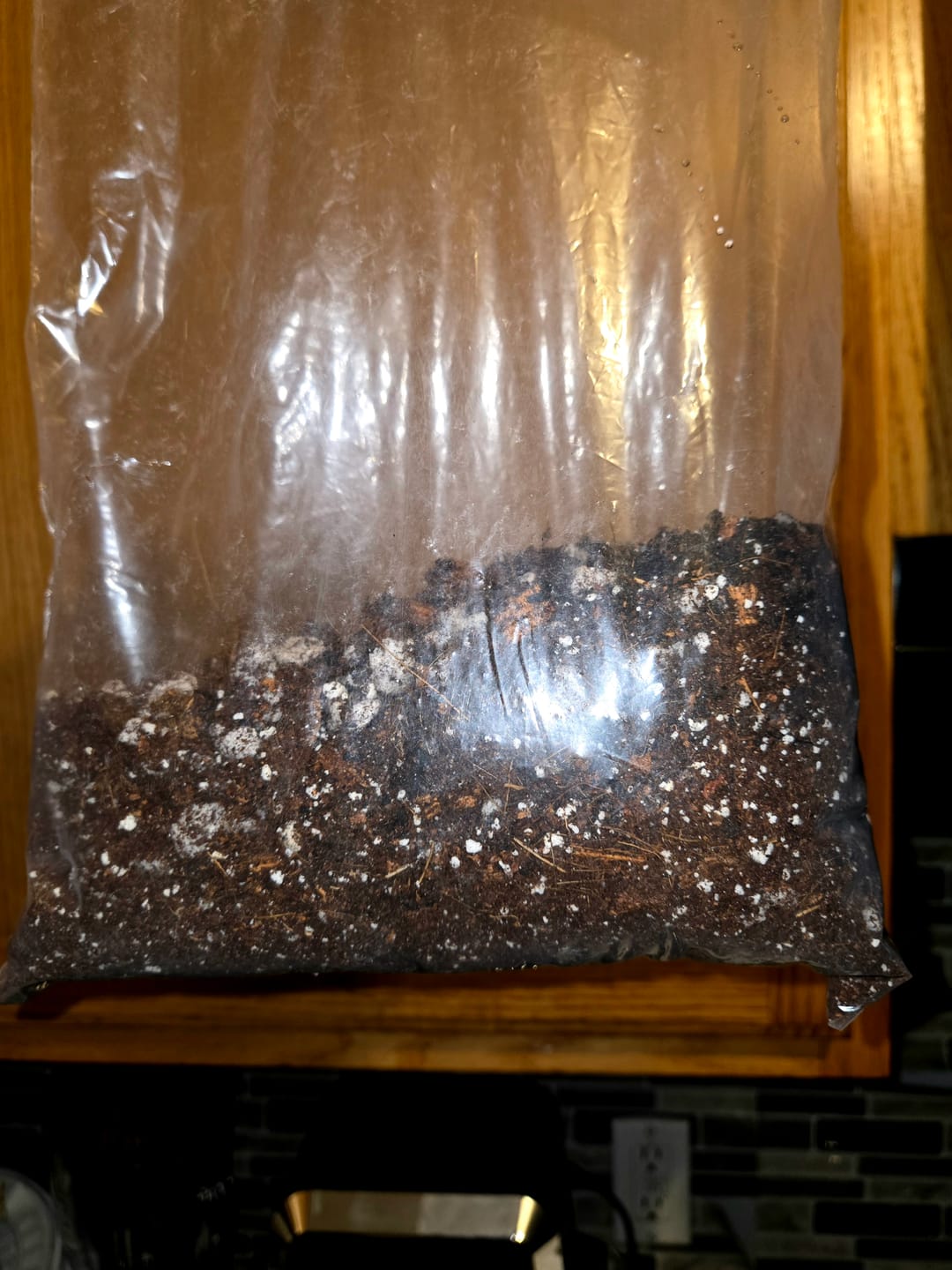 Customer photo review of Chunky Potting Soil Mix - Houseplant Soil Mix - Best Indoor Potting Soil - Well Draining Potting Soil for Rare Indoor Plants & Cactus