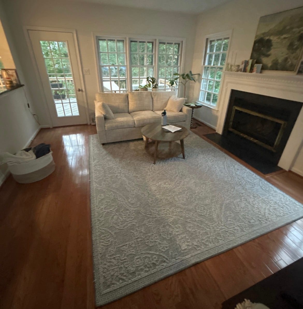 Customer photo review of Iria Washable Area Rug - Green