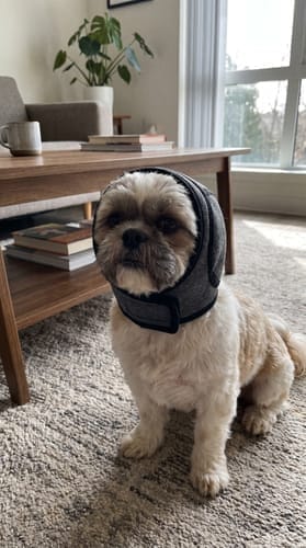 Customer photo review of PawEase™ Calming Ear Wrap