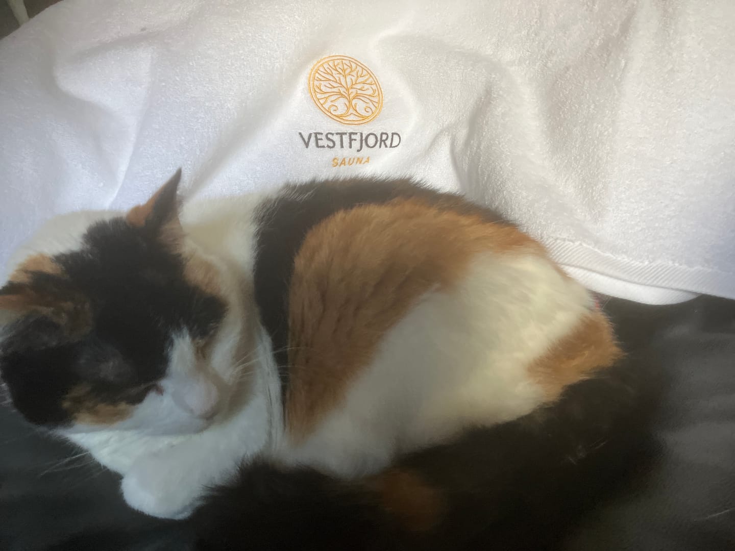 Customer photo review of Vestfjord Håndkle - 100% bomull