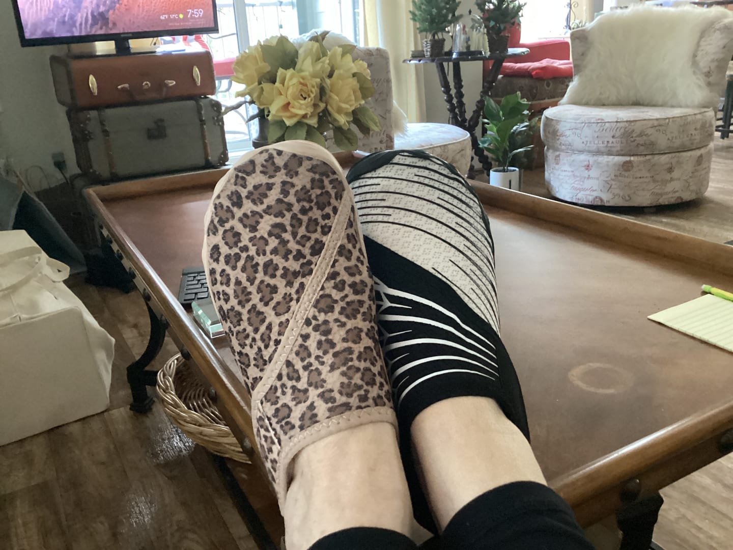 Customer photo review of Solyn-BOGO