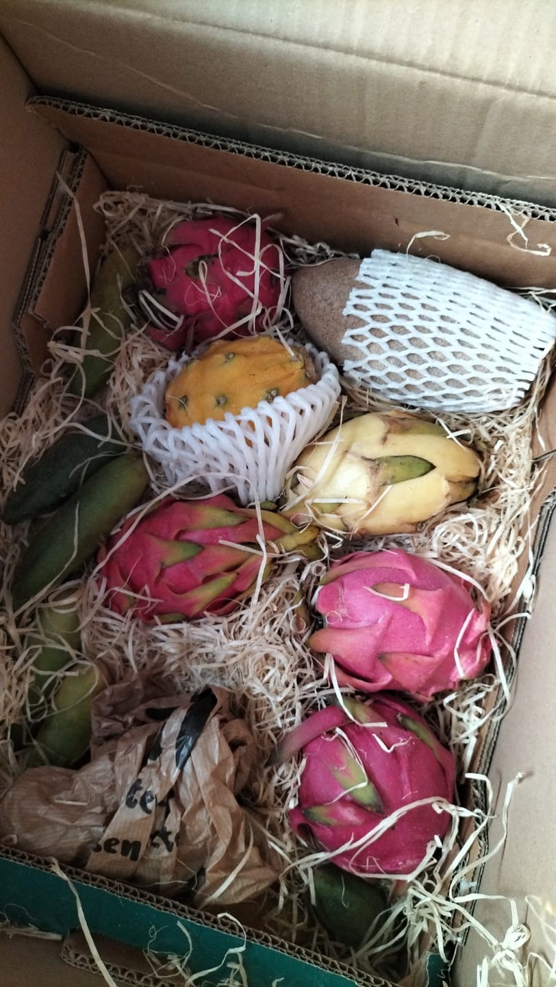 Customer photo review of Drachenwunder Box (5-6 Sorten!) Wochenaktion %
