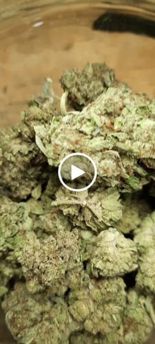 Customer video review of Purple Lantz THCA Flower