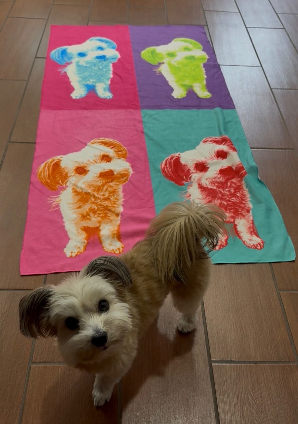 Customer photo review of Color Squares – Personalized Towel