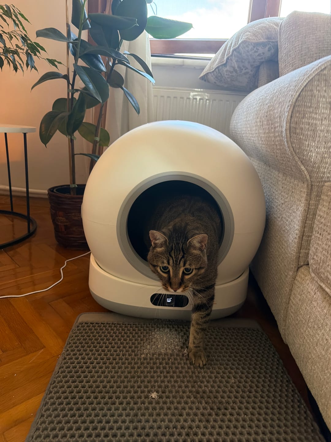 Customer photo review of Otomatik Kedi Tuvaleti (Kameralı) | 72 Lt, 1080p, Mobil Kontrol, Wifi, Akıllı Kedi Tuvaleti (X8623)