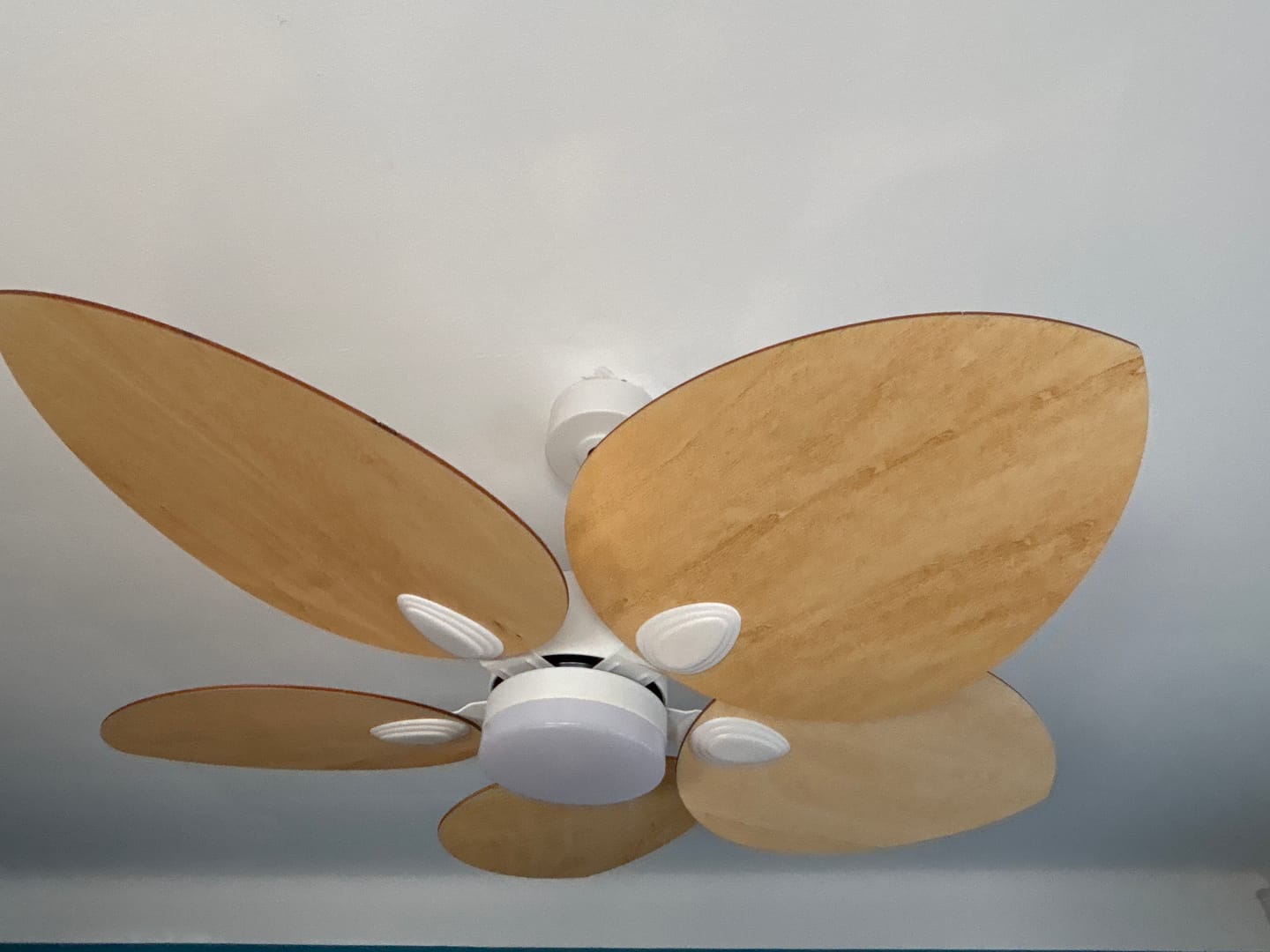 Customer photo review of Dahlia teinté Chêne | Ventilateur de plafond