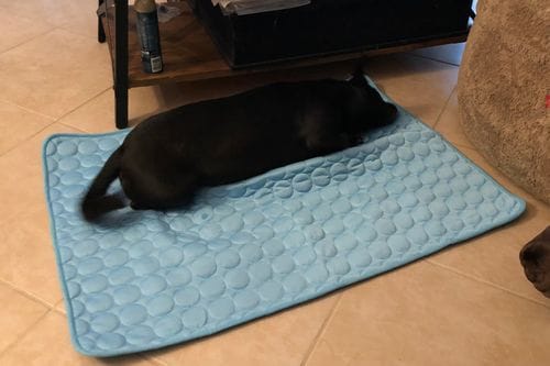 Customer photo review of Cooling Mat