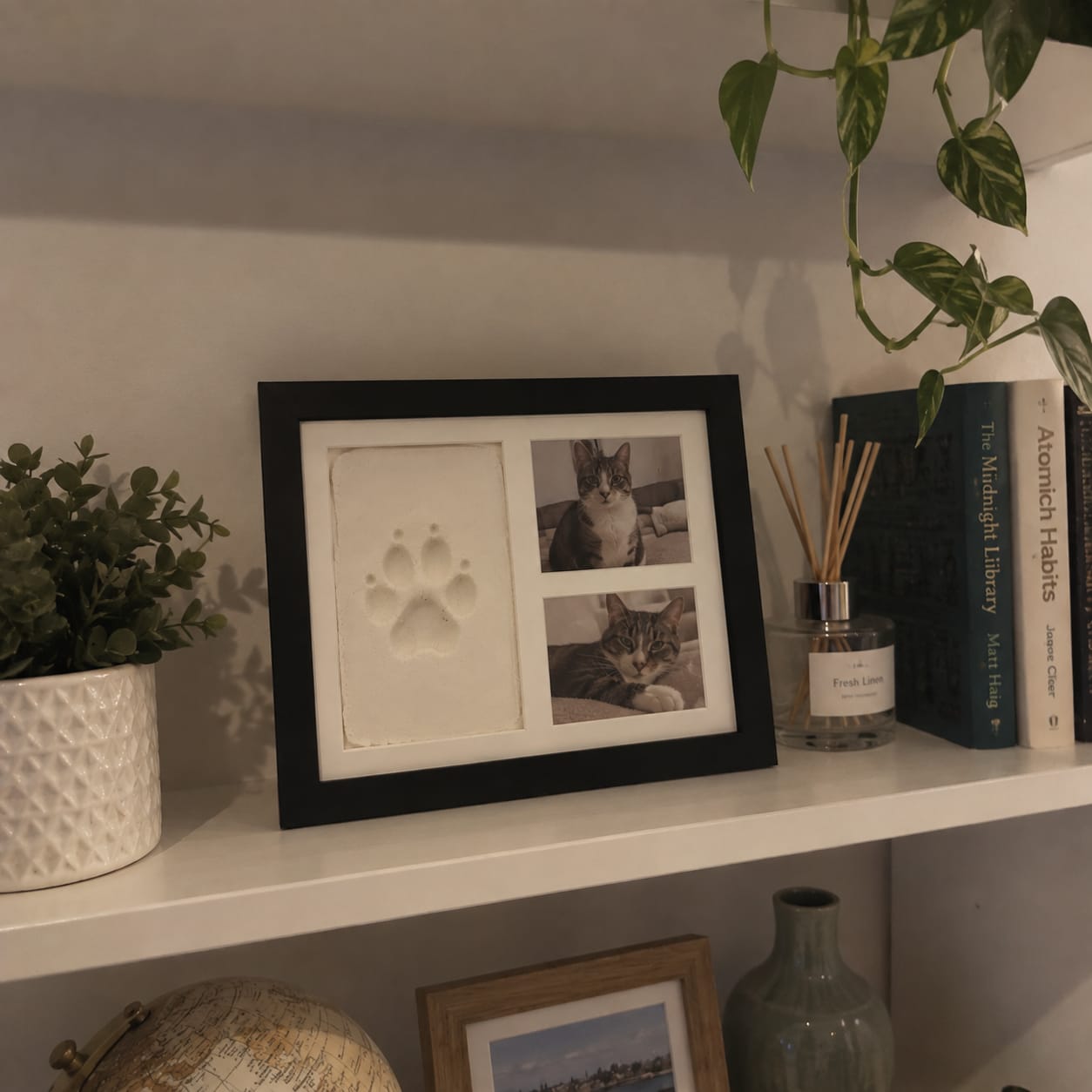 Customer photo review of DIY Pet Paw Print Kit